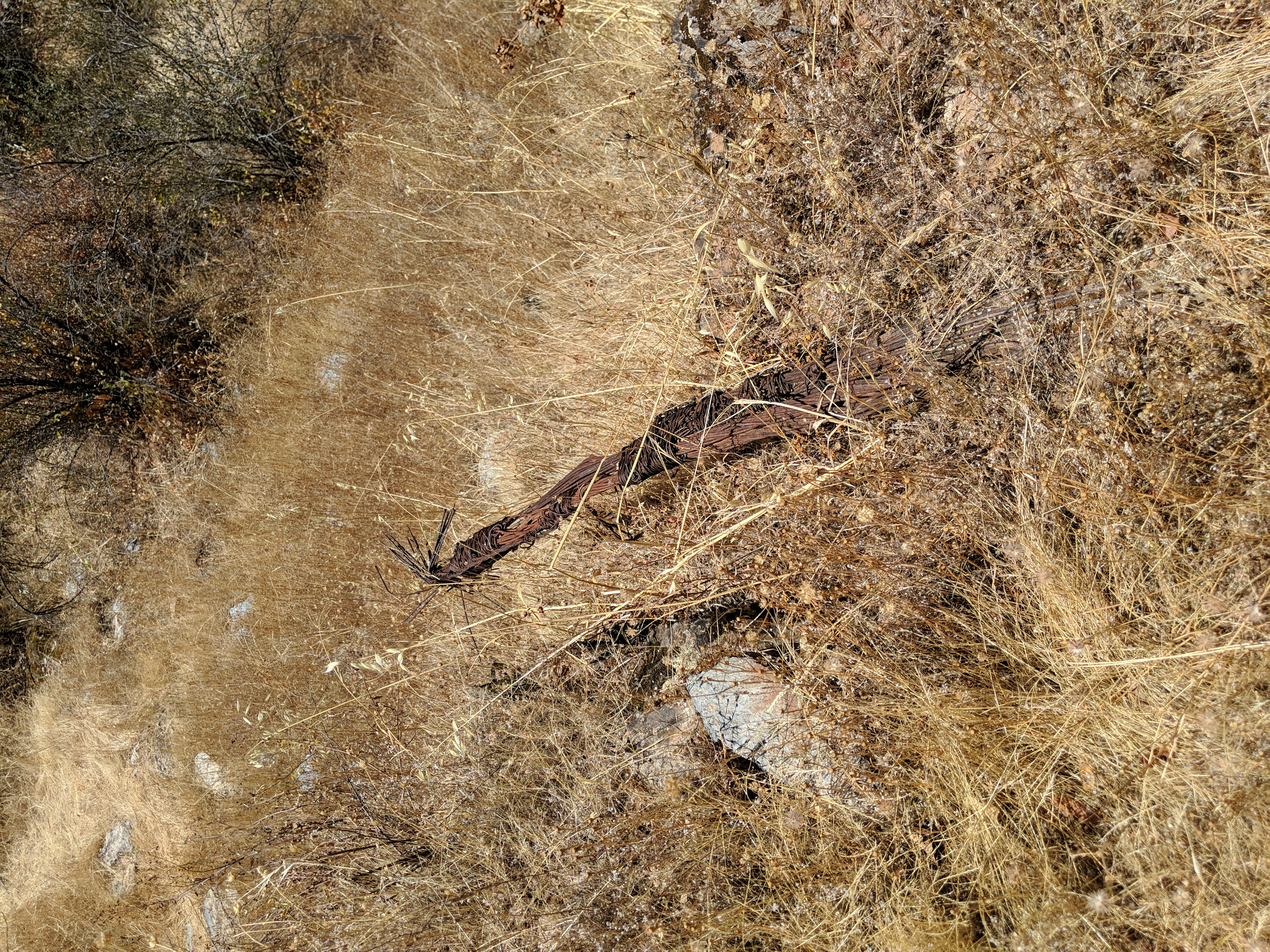 rusty wired cable wrap hanging out of dirt