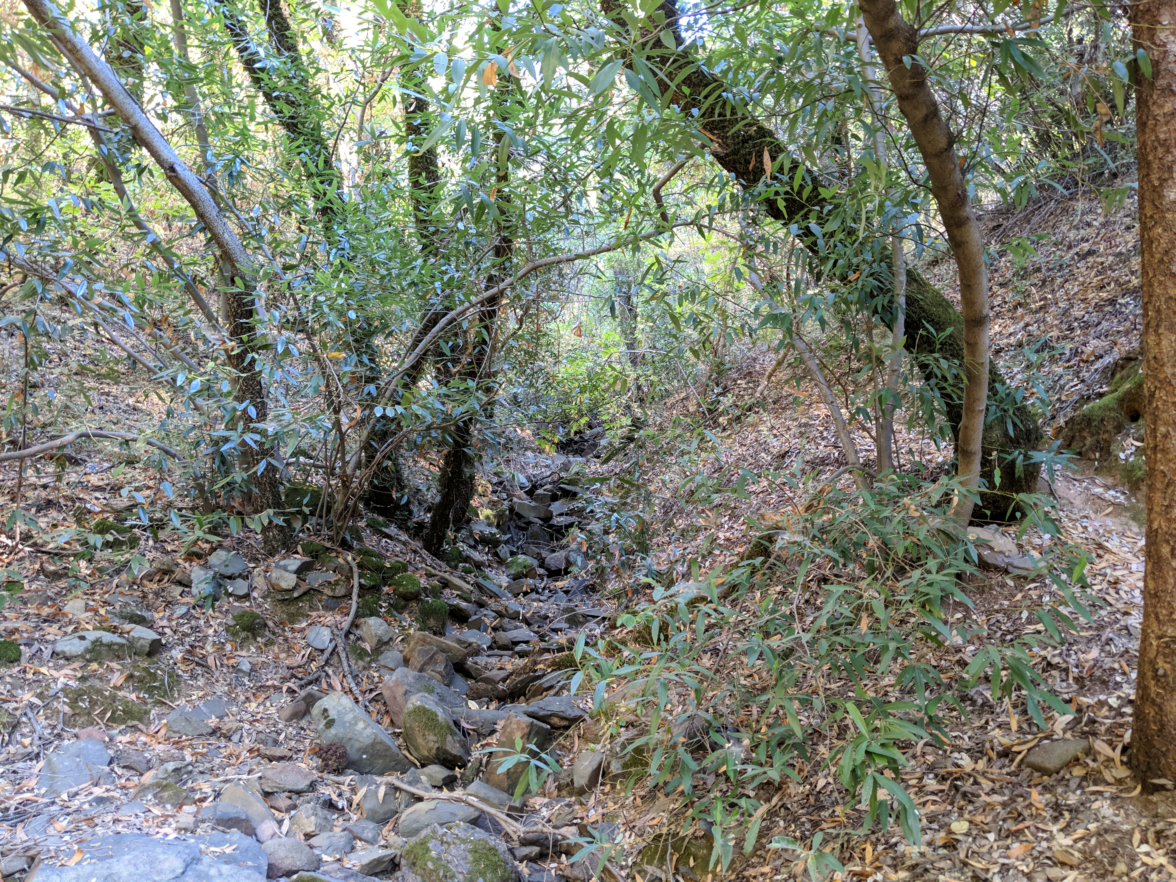 dried stream